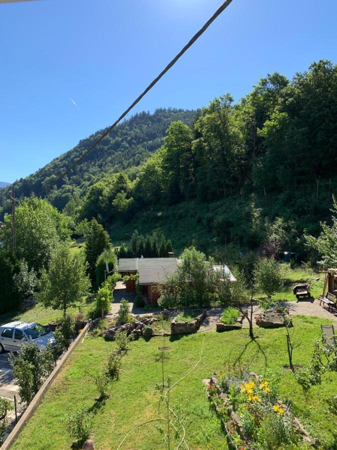 Chalet Rustique, 3Pieces, Jusqu'A 6 Personnes Urbès Buitenkant foto