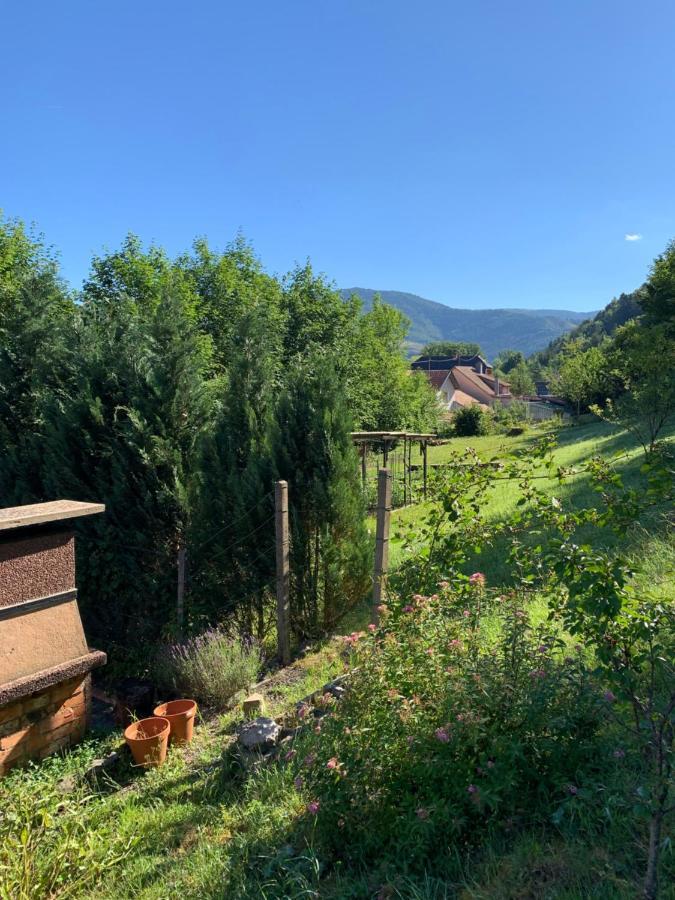 Chalet Rustique, 3Pieces, Jusqu'A 6 Personnes Urbès Buitenkant foto