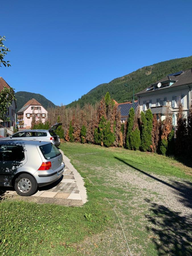 Chalet Rustique, 3Pieces, Jusqu'A 6 Personnes Urbès Buitenkant foto