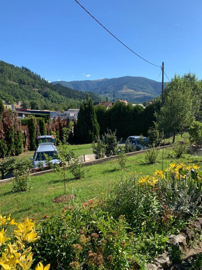 Chalet Rustique, 3Pieces, Jusqu'A 6 Personnes Urbès Buitenkant foto
